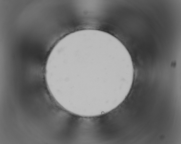 X0000115850297200912242043