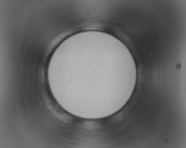 X0000115850298200912242043