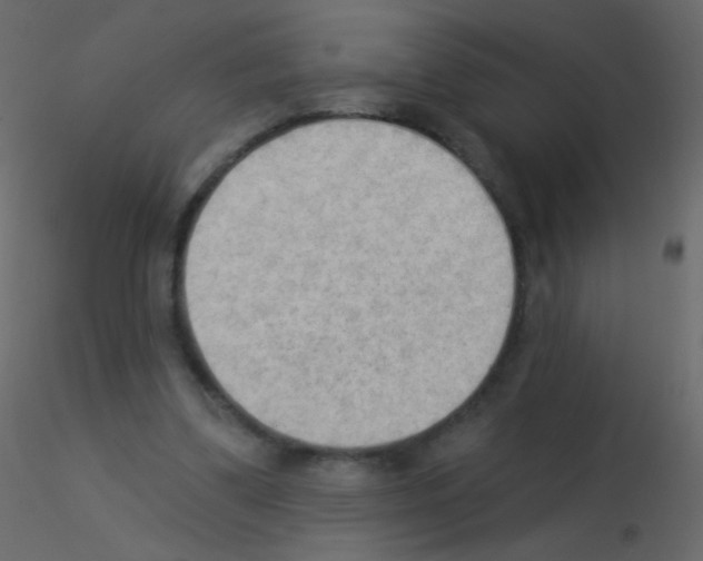 X0000115850299200912242043