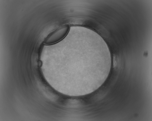 X0000115850300200912242043