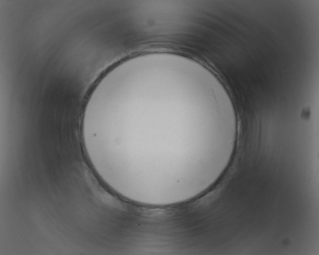 X0000115850301200912242043