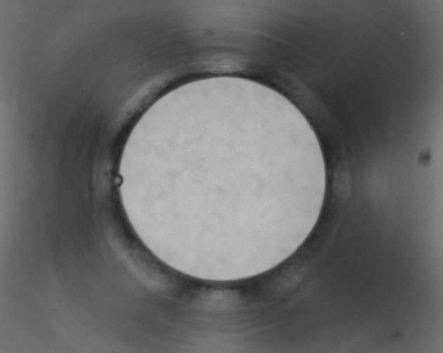 X0000115850304200912242043