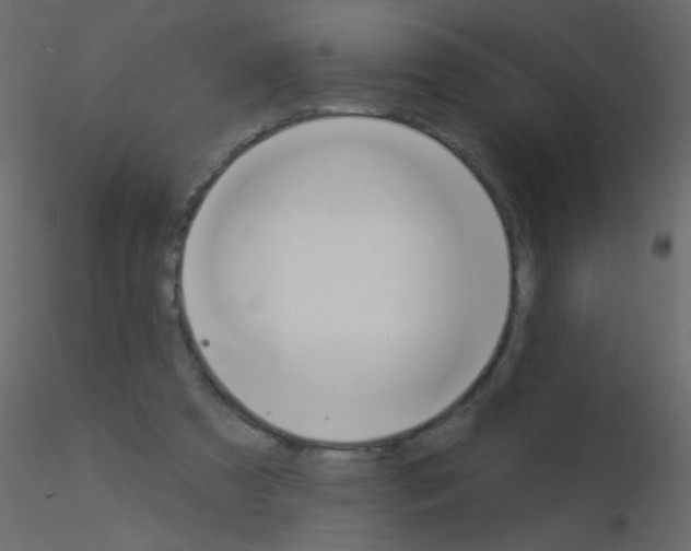 X0000115850305200912242043