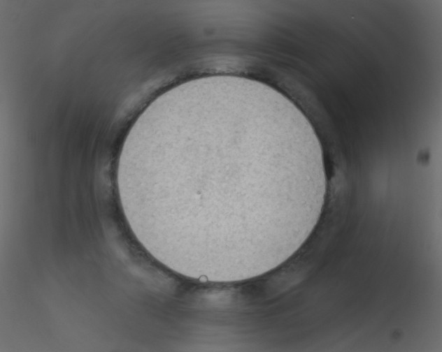 X0000115850306200912242043