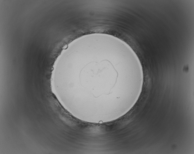 X0000115850307200912242043