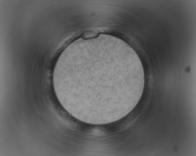 X0000115850308200912242043
