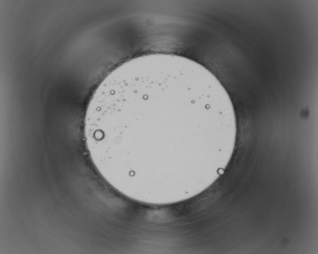 X0000115850309200912242043