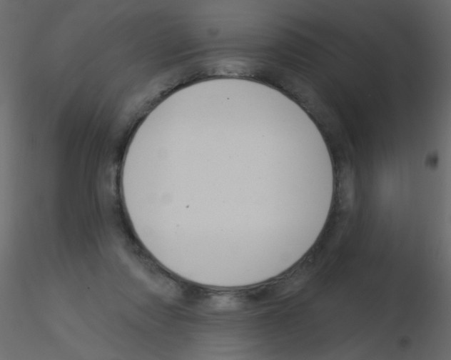 X0000115850310200912242043