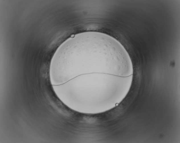 X0000115850311200912242043