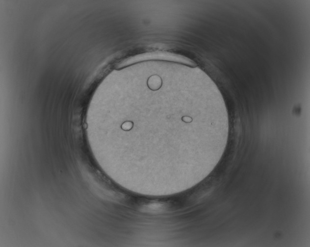 X0000115850312200912242043