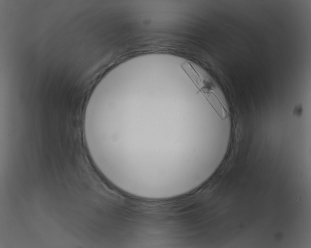 X0000115850313200912242043