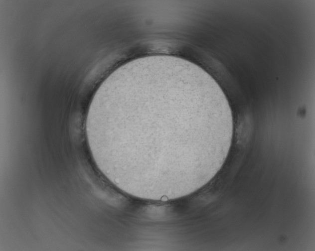 X0000115850314200912242043