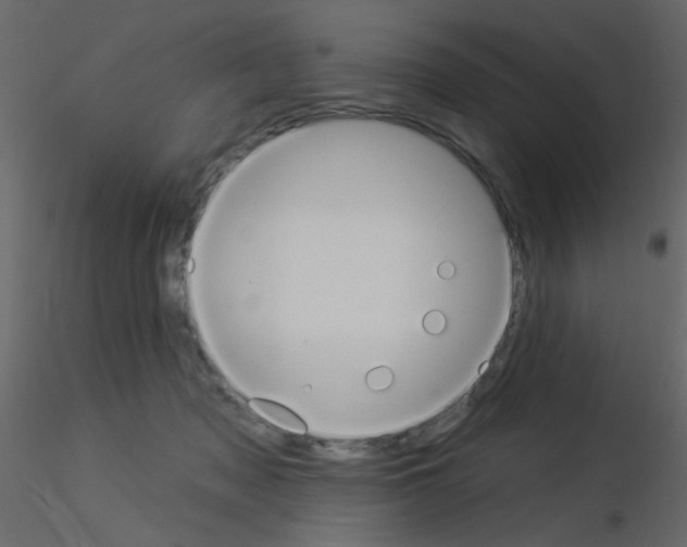 X0000115850317200912242043