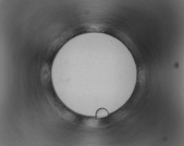 X0000115850318200912242043