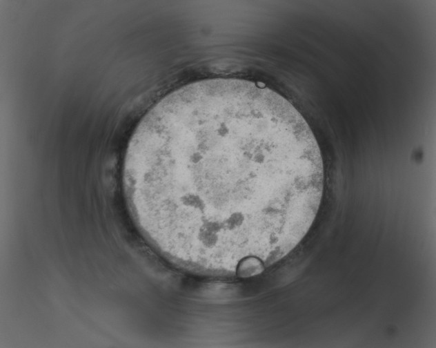 X0000115850319200912242043