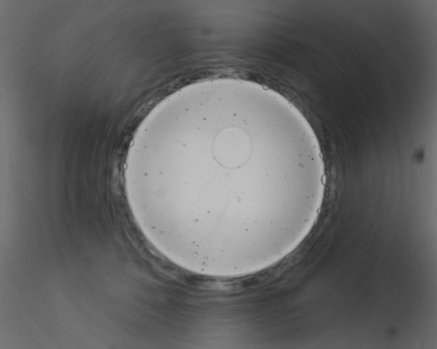 X0000115850320200912242043