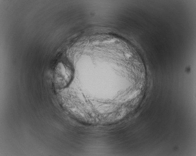 X0000115850321200912242043