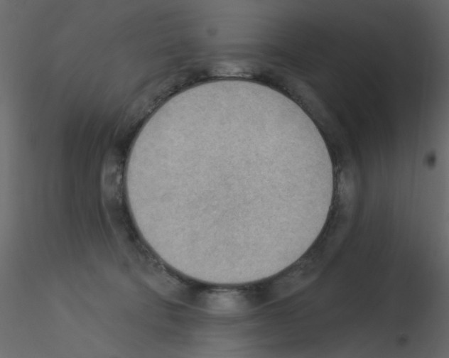X0000115850322200912242043