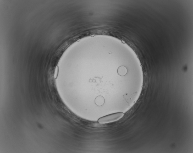 X0000115850324200912242043
