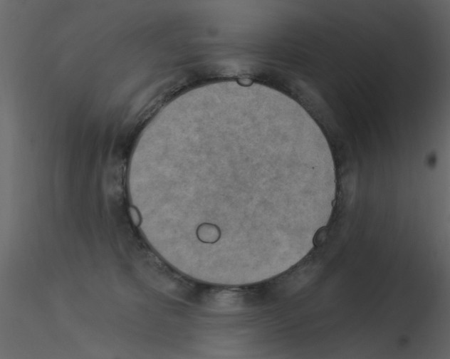 X0000115850325200912242043