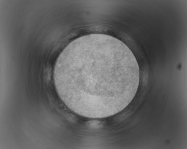 X0000115850326200912242043