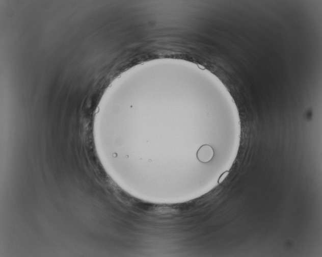 X0000115850327200912242043