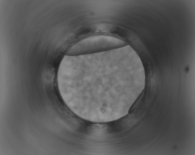 X0000115850328200912242043