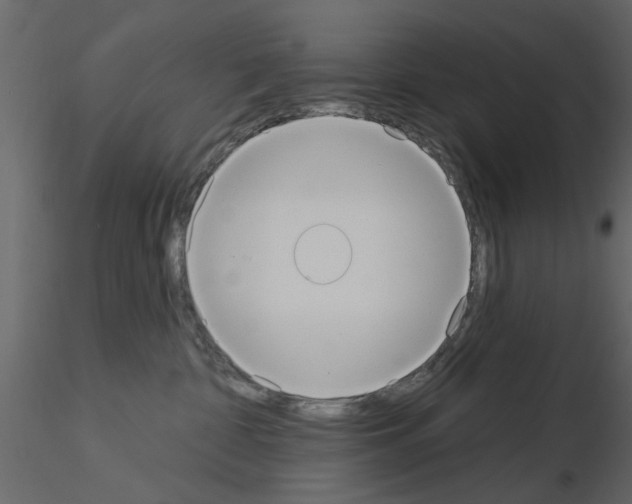 X0000115850332200912242043