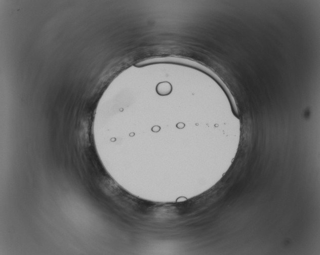 X0000115850333200912242043