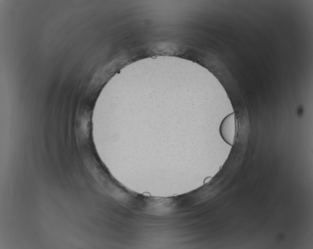 X0000115850334200912242043