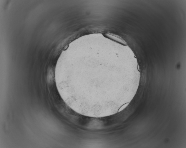 X0000115850335200912242043