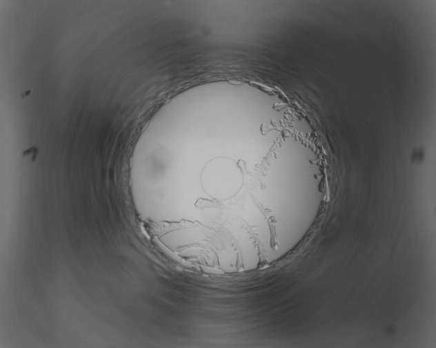X0000115850336200912242043