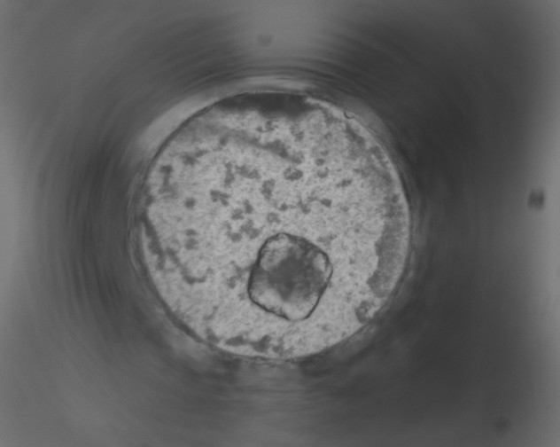 X0000115850337200912242042