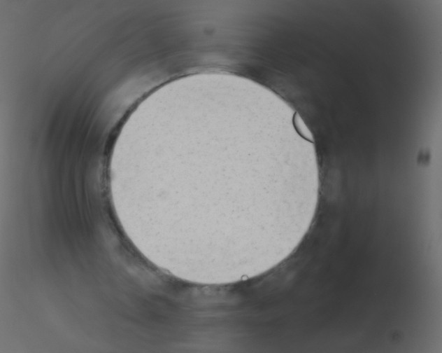 X0000115850338200912242042