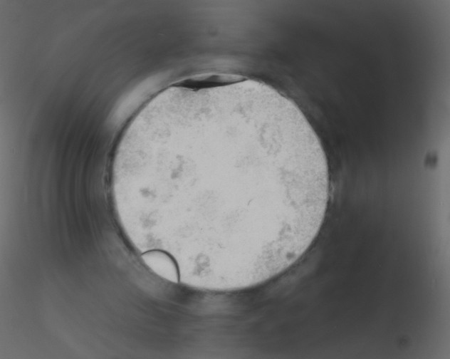 X0000115850341200912242042