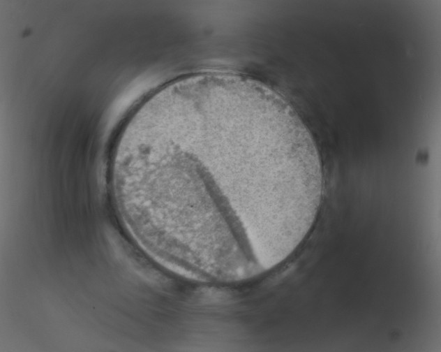 X0000115850343200912242042
