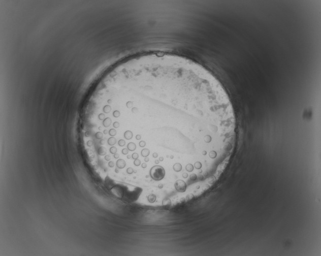 X0000115850346200912242042