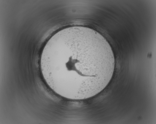 X0000115850347200912242042