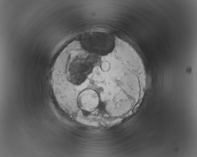 X0000115850349200912242042