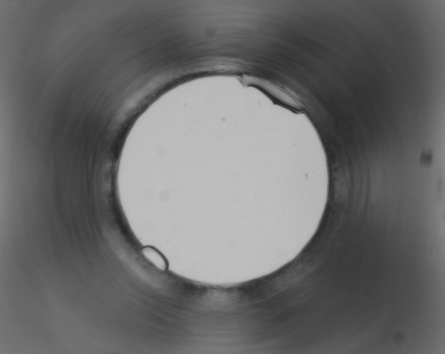 X0000115850350200912242042