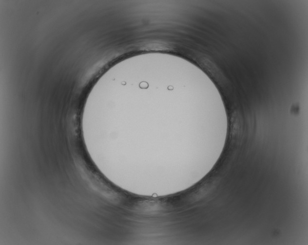 X0000115850351200912242042