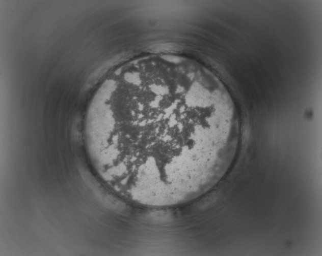 X0000115850353200912242042