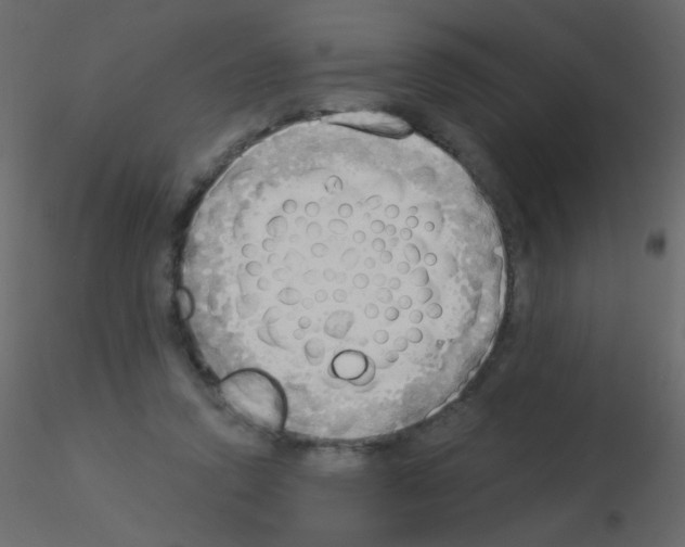 X0000115850354200912242042