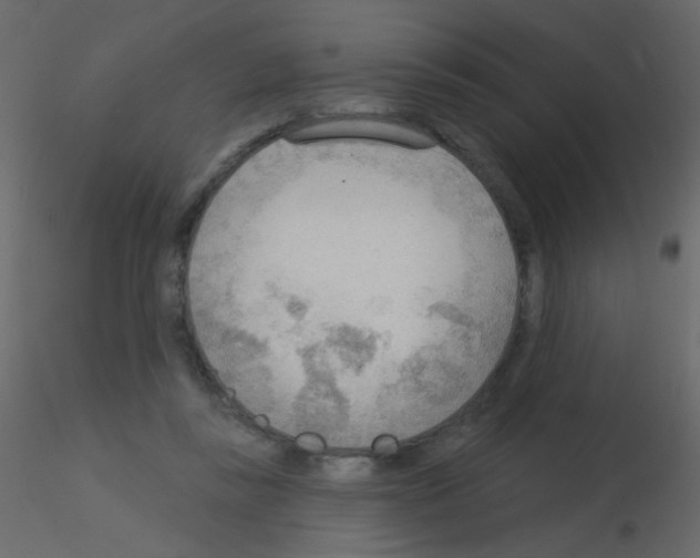 X0000115850355200912242042