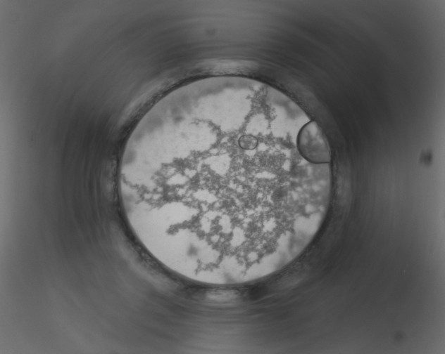 X0000115850357200912242042