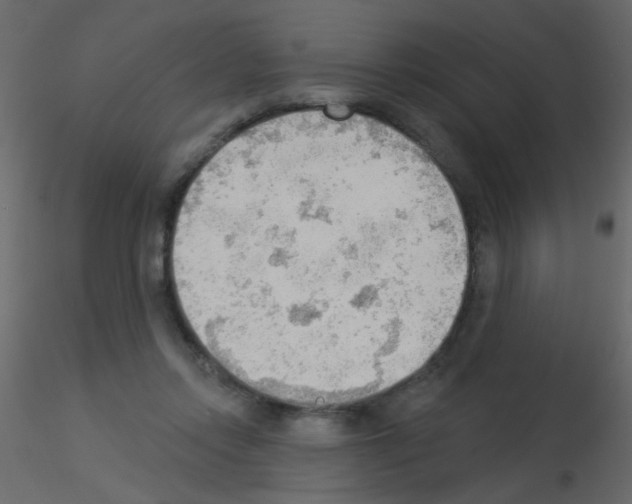 X0000115850358200912242042