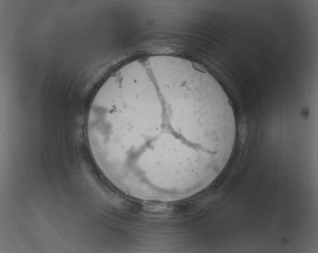 X0000115850359200912242042