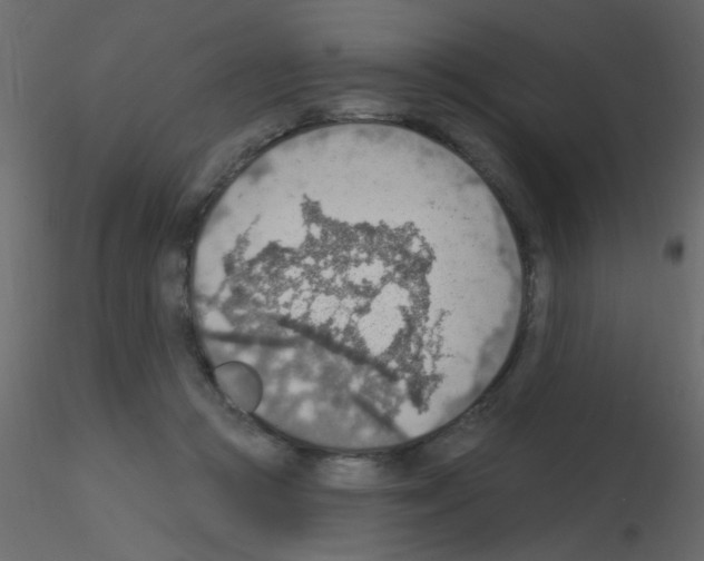 X0000115850361200912242042