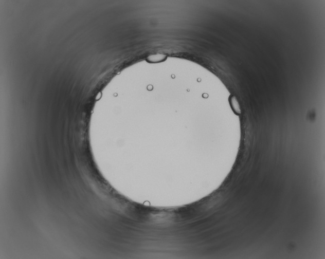 X0000115850362200912242042