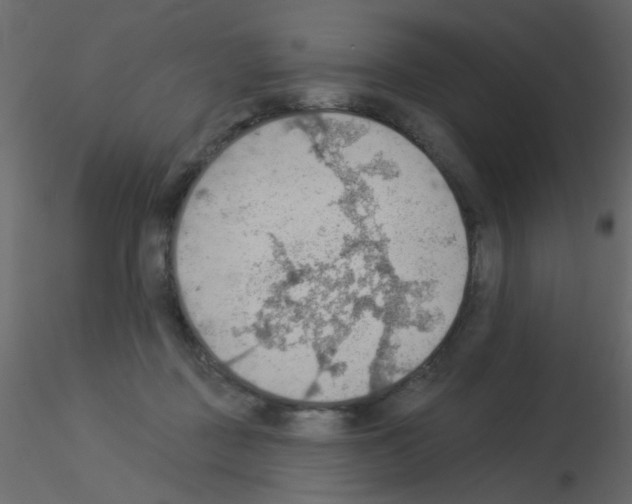 X0000115850363200912242042